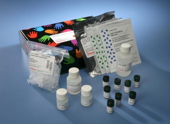 人α2-hs糖蛋白(ahsg)检测试剂盒产品图片
