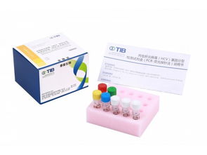 丙型肝炎病毒基因分型检测试剂盒 PCR 荧光探针法